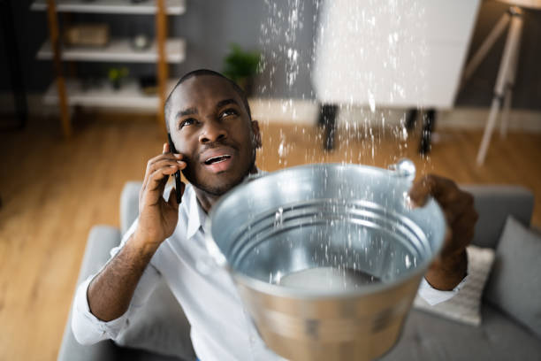 Best Water damage restoration near me  in Delavan, IL