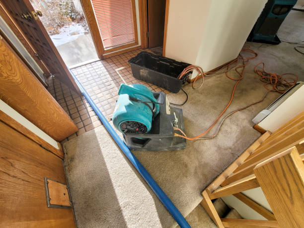 Best Emergency water damage restoration  in Delavan, IL