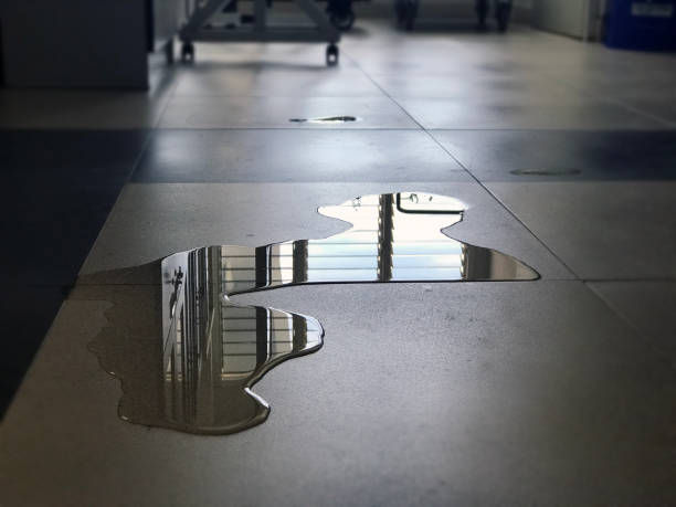 Water damage restoration experts in Delavan, IL