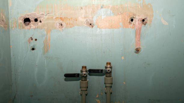 Best Ceiling water damage repair  in Delavan, IL