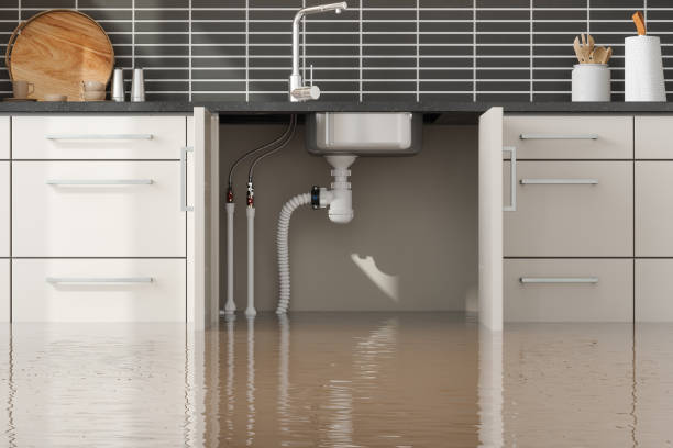 Water damage restoration insurance claims