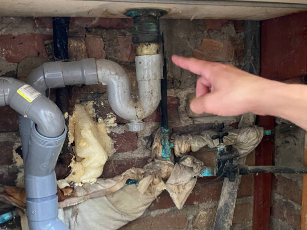 Best Local water damage restoration  in Delavan, IL
