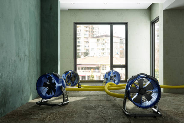Best Water damage cleanup near me  in Delavan, IL